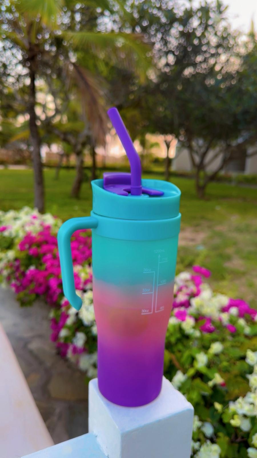 Fitness Accessories